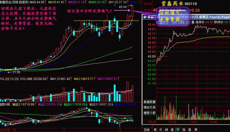 244.分时图上找黑马