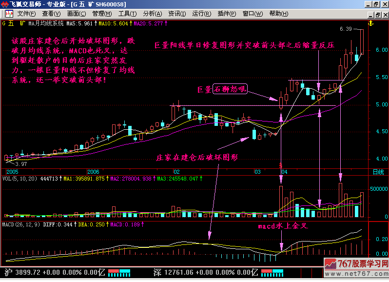 36.石狮怒吼,海鸟飞天
