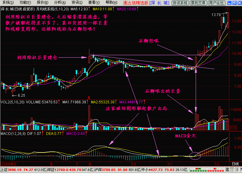 36.石狮怒吼,海鸟飞天