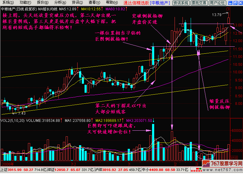 31.长阴倒拔杨柳