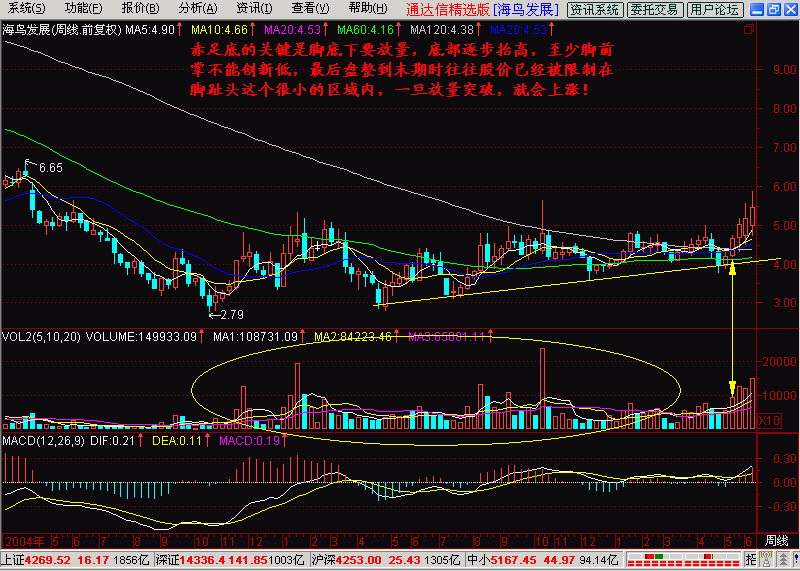 8.一脚踢出大黑马