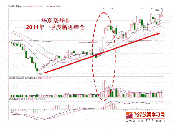 基本面影响股价案例分析