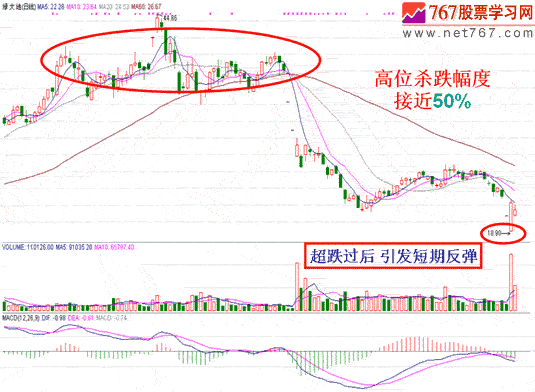 超跌反弹实战分析4例