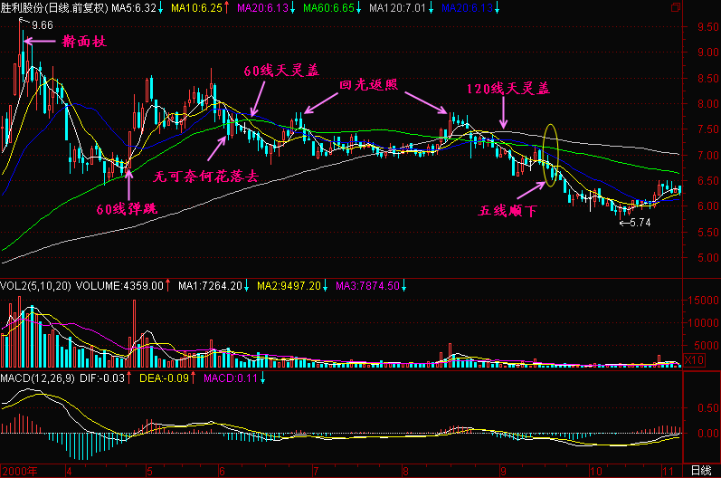 122.头部特征一 122.头部特征一