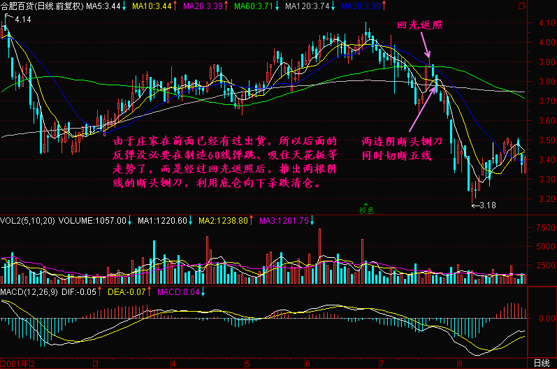 122.头部特征一 122.头部特征一