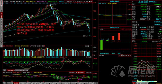 每日一评08月25日