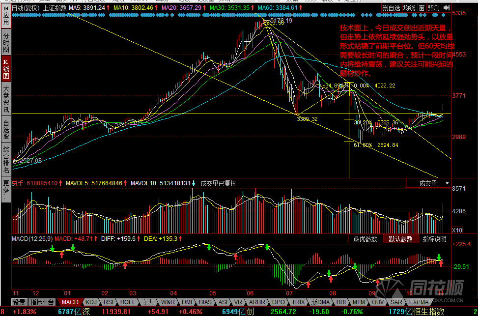 每日一评11月05日