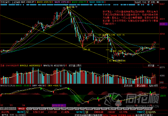 每日一评11月11日