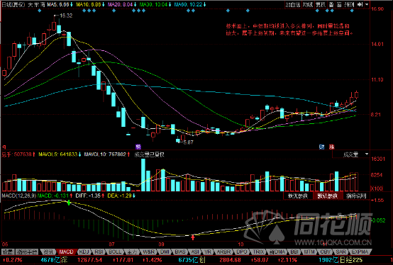 每日一评11月11日