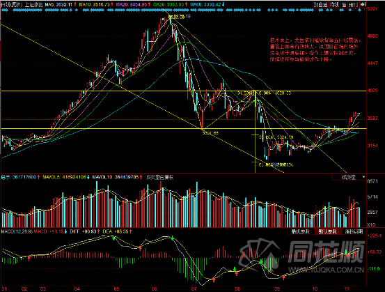 每日一评11月12日
