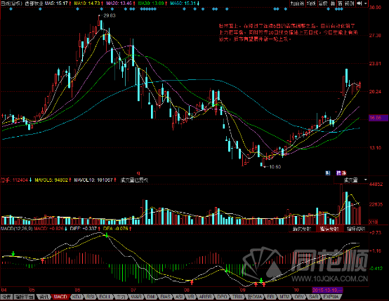 每日一评11月12日