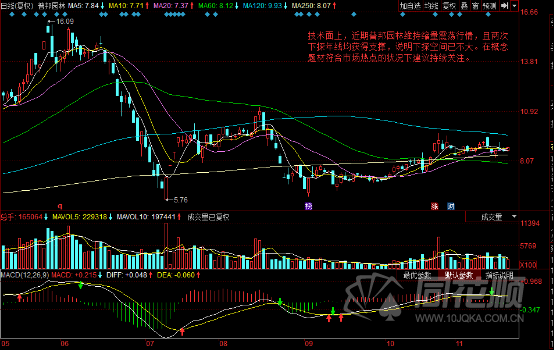每日一评11月19日