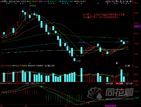 每日一评11月20日