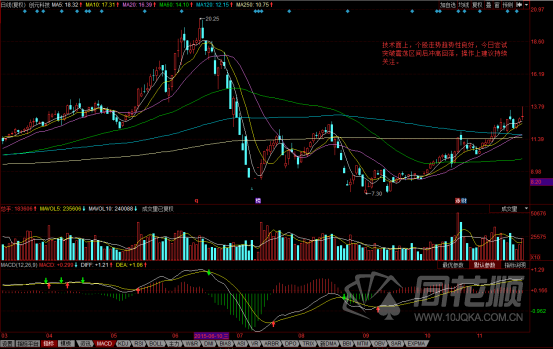 每日一评11月23日