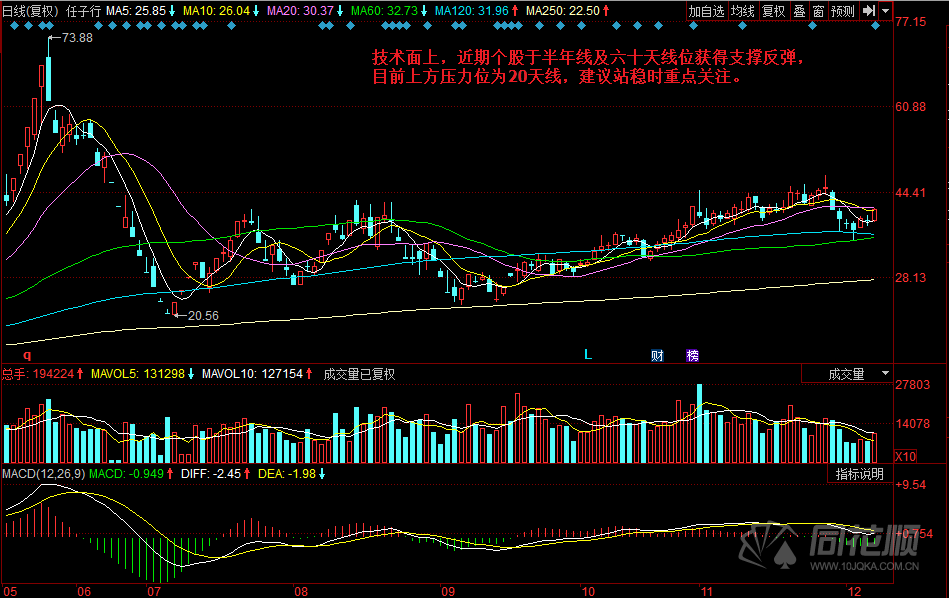 每日一评12月07日