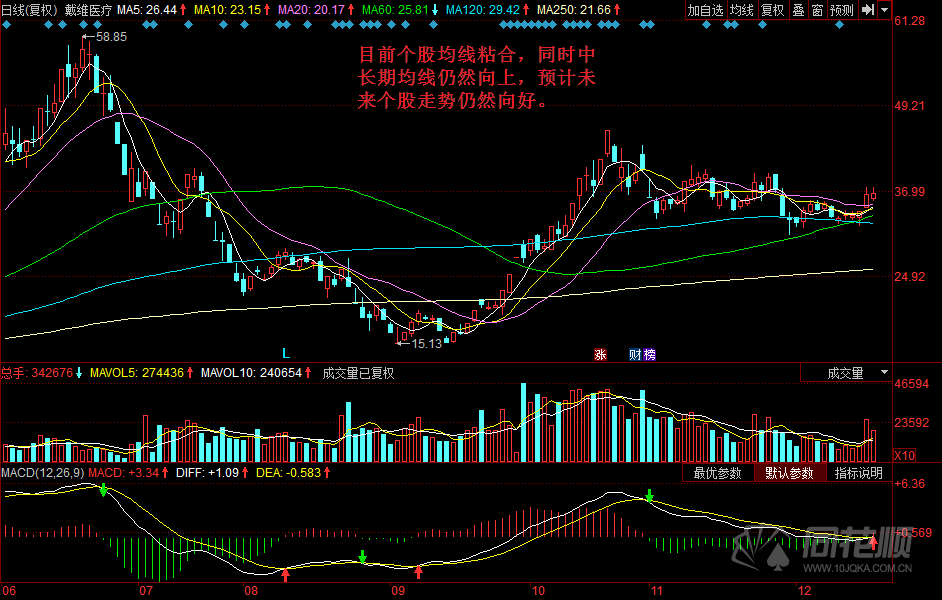 每日一评12月15日