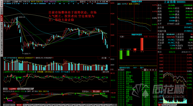 每日一评01月11日 每日一评01月11日
