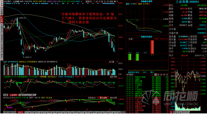 每日一评01月12日 每日一评01月12日