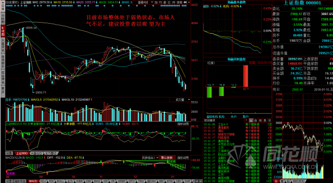 每日一评01月15日 每日一评01月15日