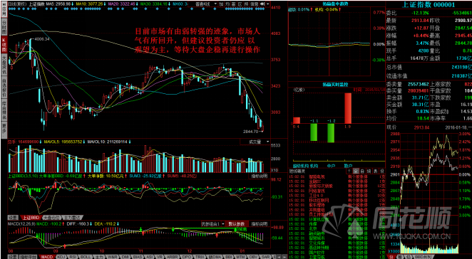 每日一评01月18日 每日一评01月18日
