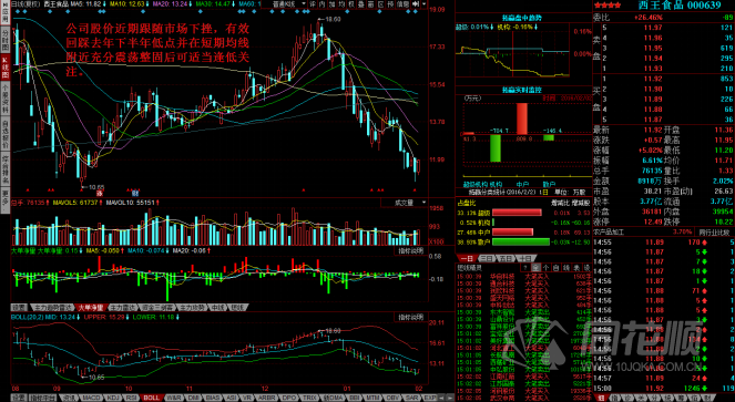 每日一评02月02日