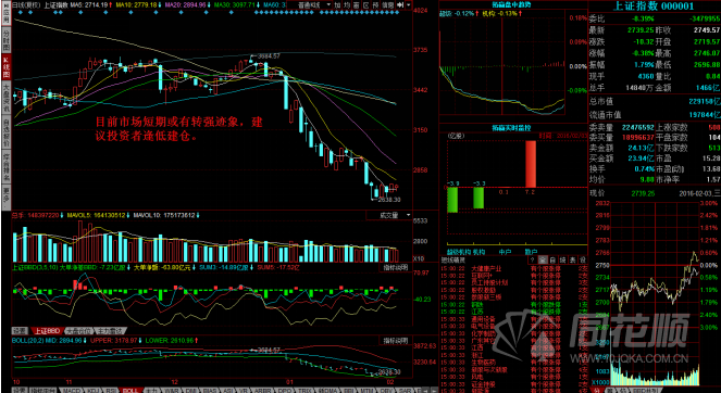 每日一评02月03日