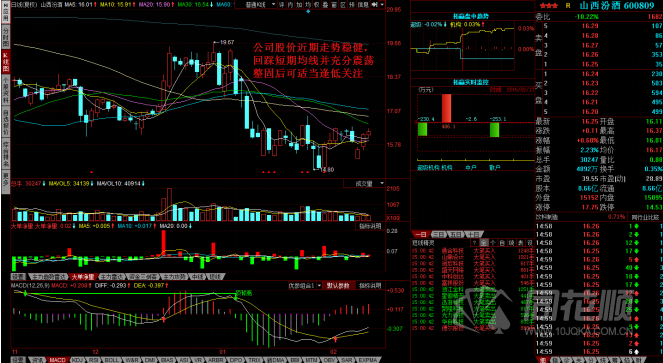 每日一评02月17日