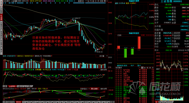每日一评02月18日