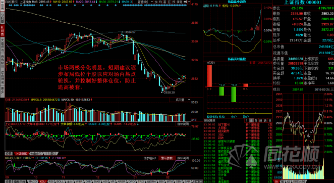 每日一评02月24日