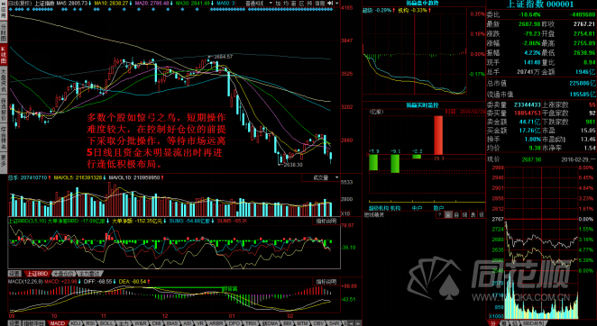 每日一评02月29日