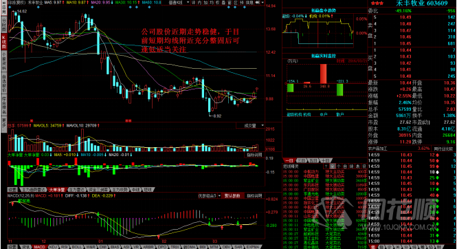 每日一评03月21日