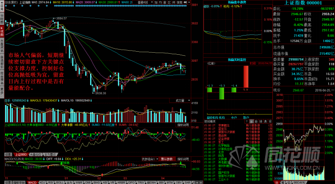 每日一评04月24日