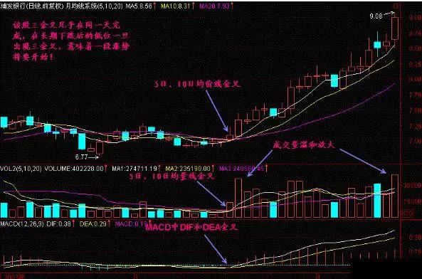 一位亏损百万老股民的告诫：我观察了1000个炒股赔了的人，基本都栽在MACD金叉死叉上，看懂持股不慌