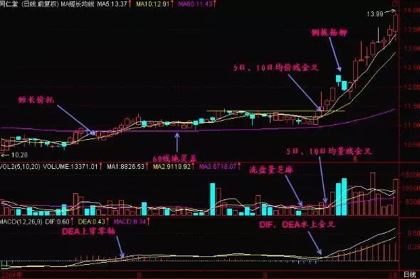 一位亏损百万老股民的告诫：我观察了1000个炒股赔了的人，基本都栽在MACD金叉死叉上，看懂持股不慌