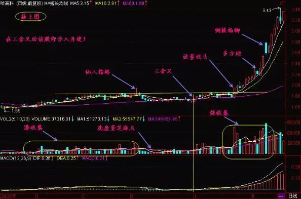 一位亏损百万老股民的告诫：我观察了1000个炒股赔了的人，基本都栽在MACD金叉死叉上，看懂持股不慌