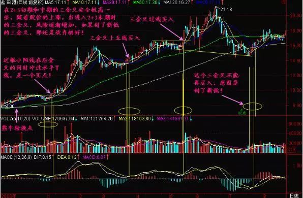 一位亏损百万老股民的告诫：我观察了1000个炒股赔了的人，基本都栽在MACD金叉死叉上，看懂持股不慌